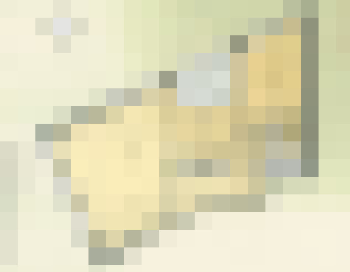 / #17