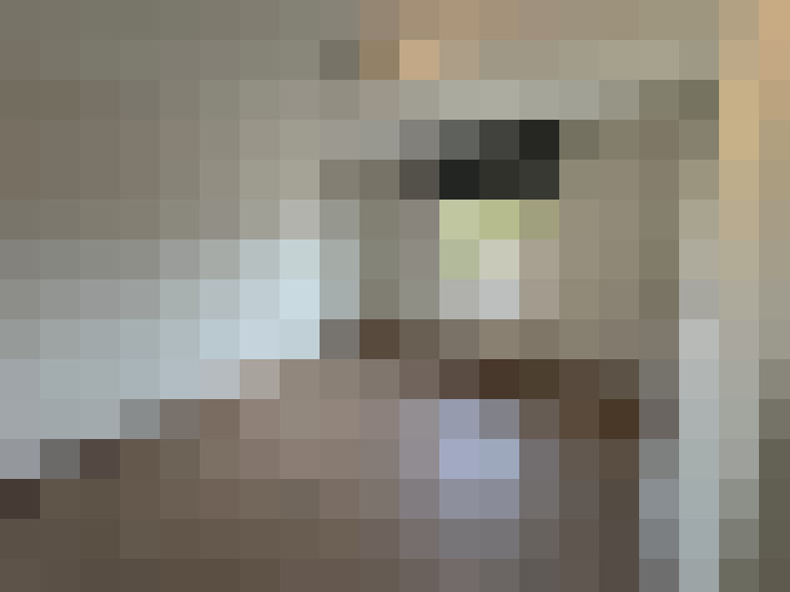  / #7