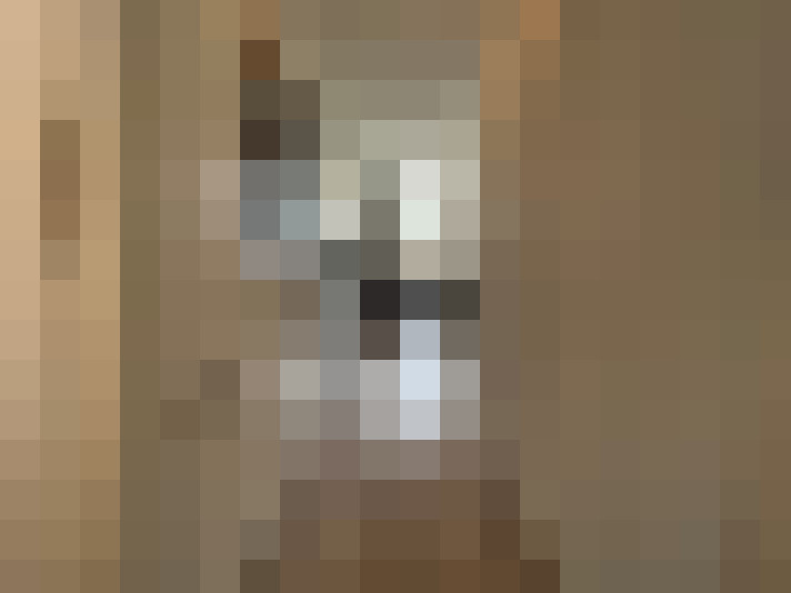  / #11