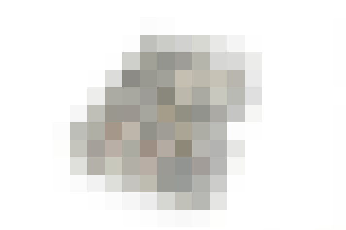  / #19