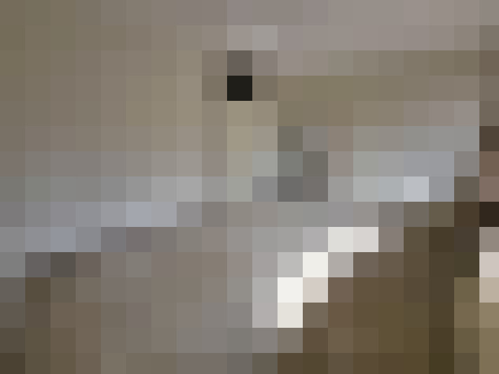  / #12