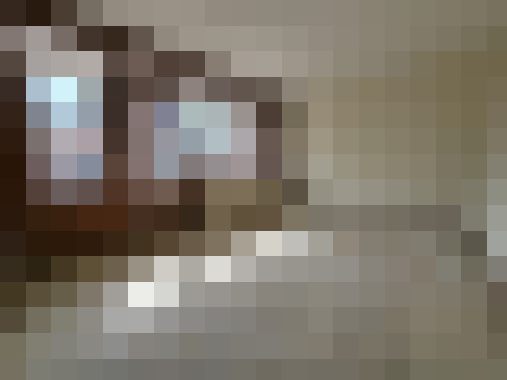  / #11