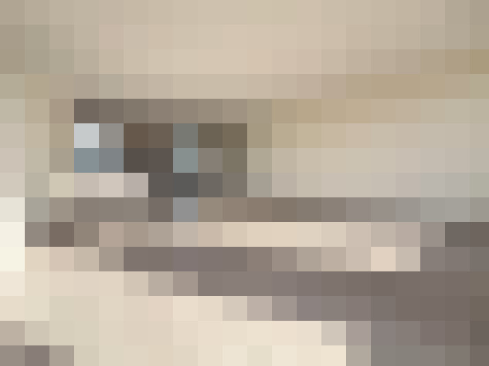  / #12