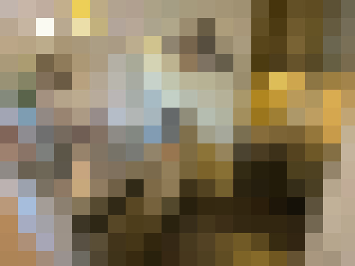  / #15