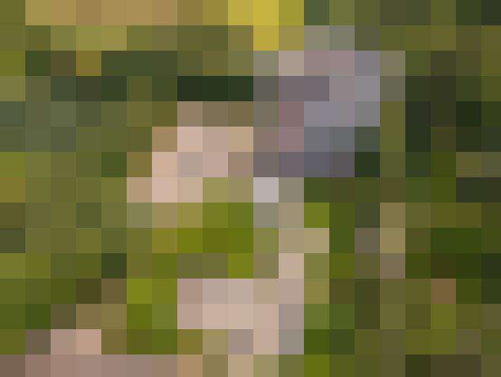  / #13