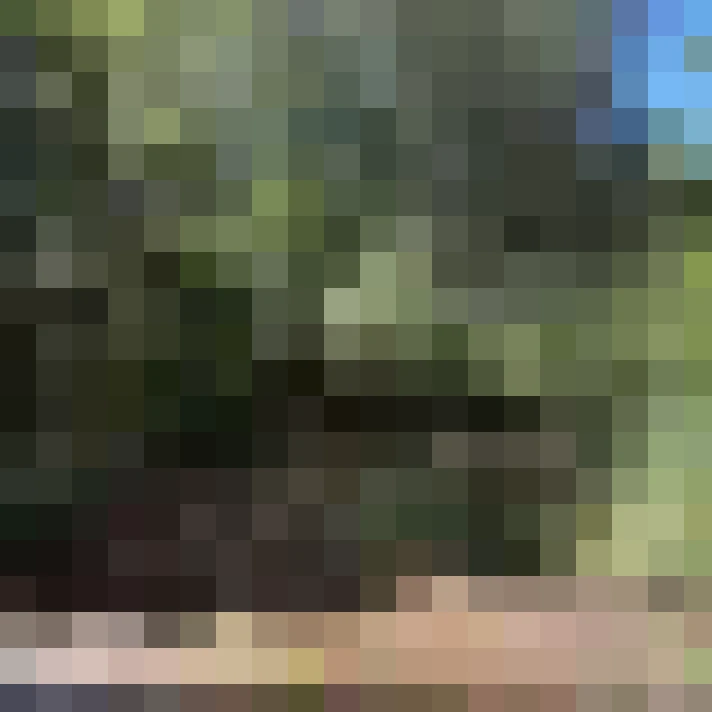  / #16