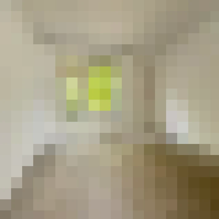  / #11