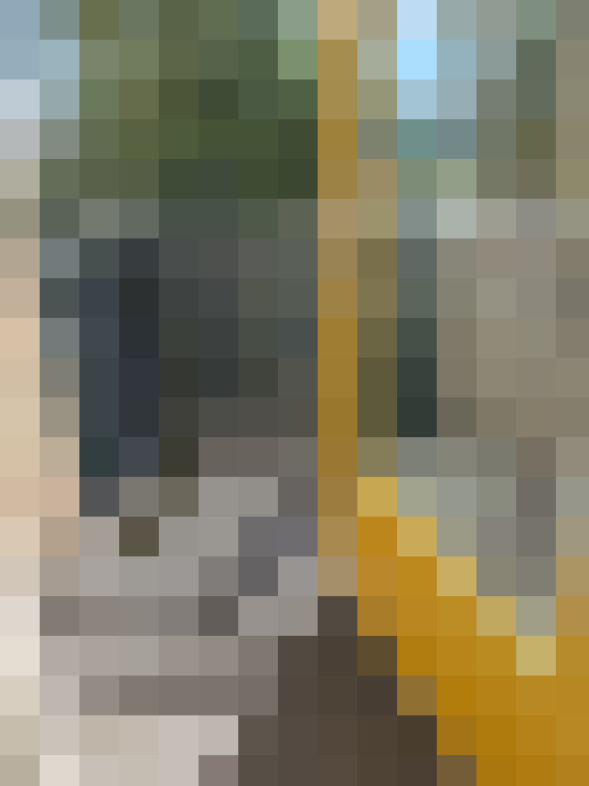  / #14