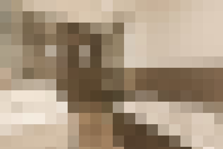  / #19
