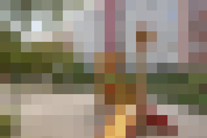  / #16