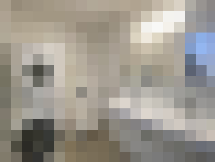  / #20