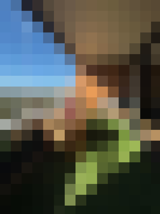  / #16