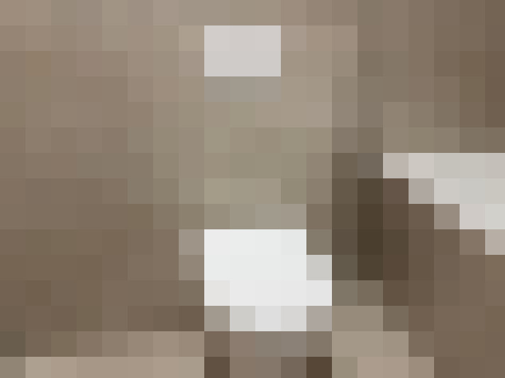  / #26