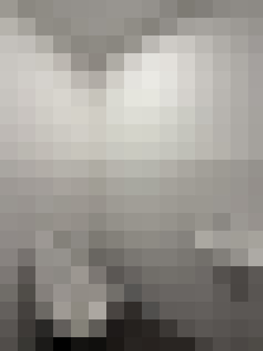  / #23