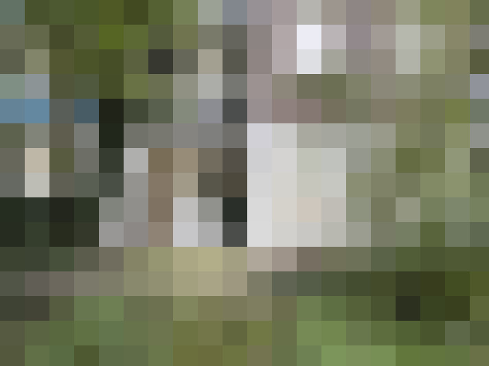  / #17