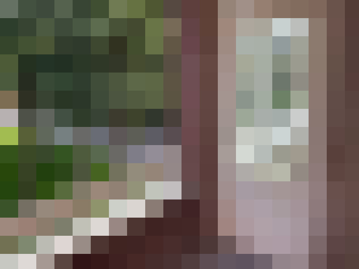  / #19