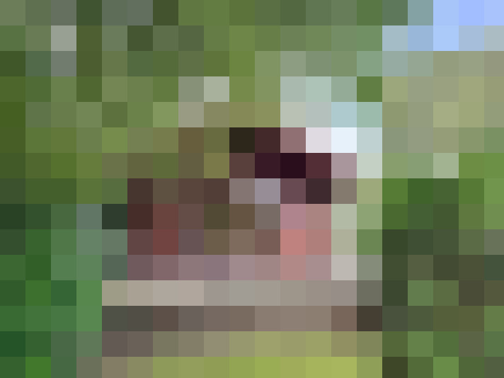  / #18