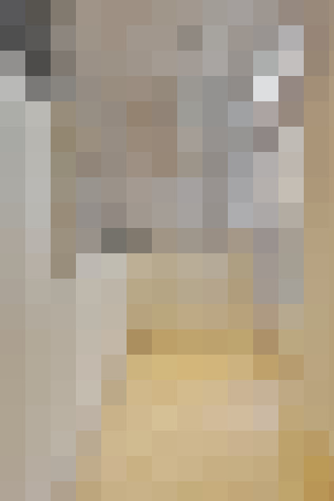  / #22