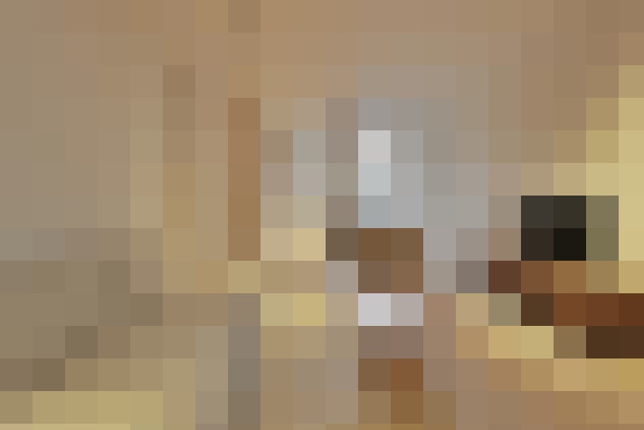  / #23