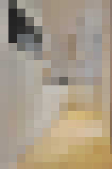  / #21