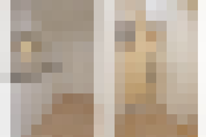  / #14