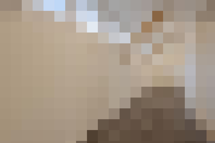  / #17