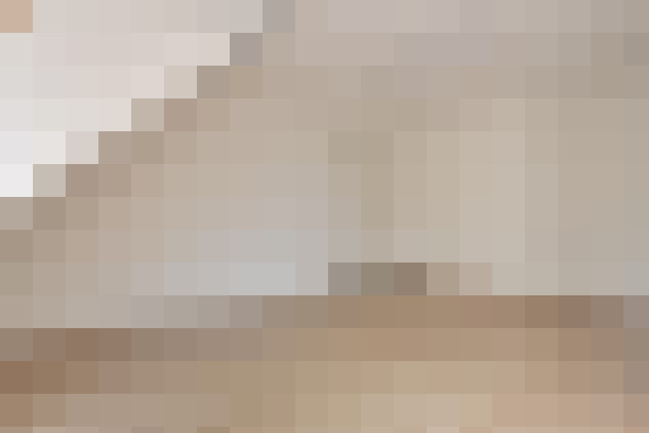  / #11