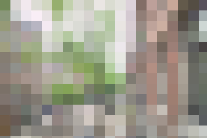  / #17