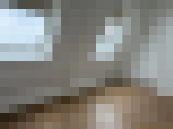  / #16