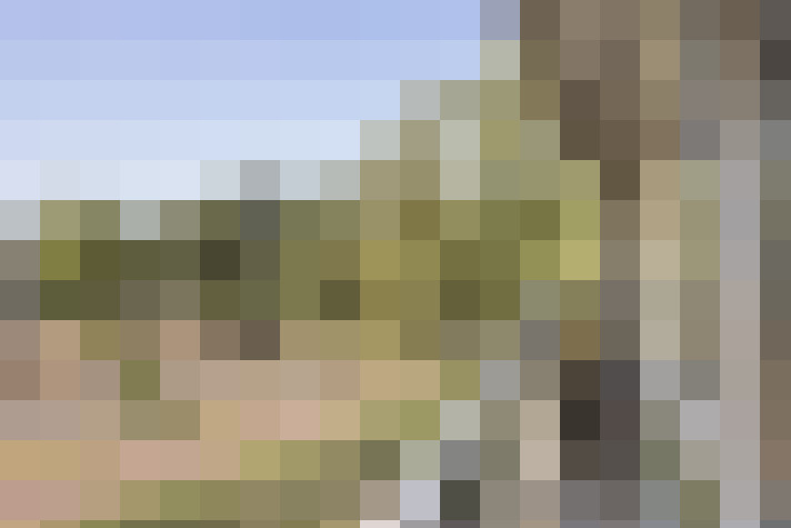  / #16