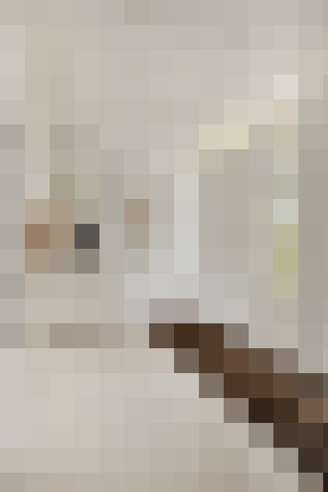  / #21