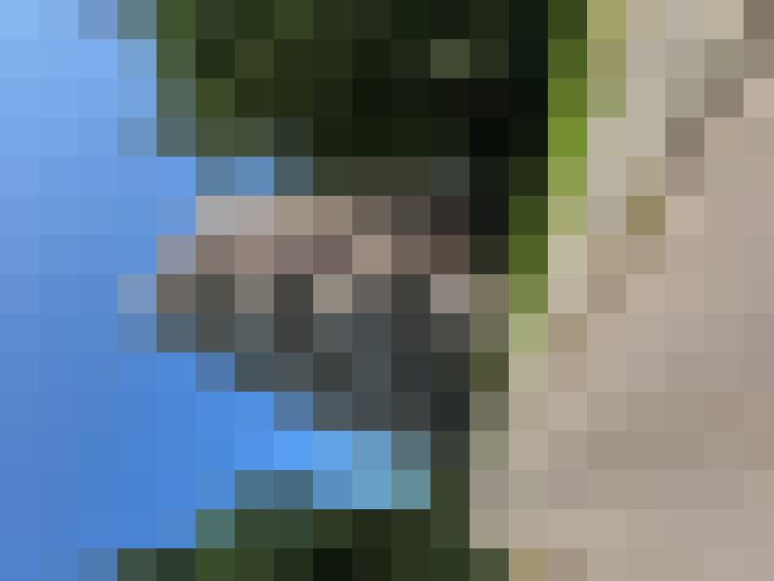  / #14