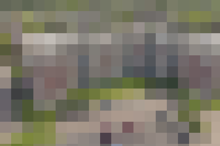  / #19
