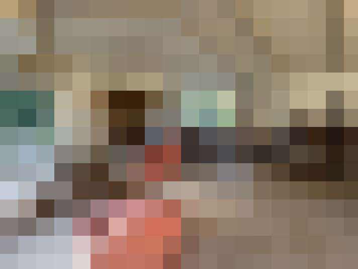  / #24