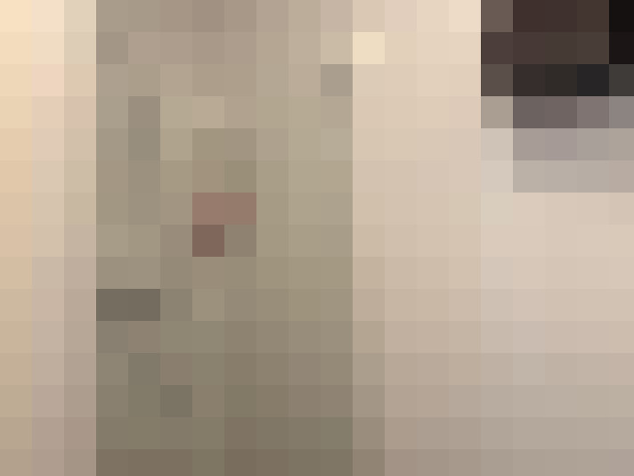  / #21