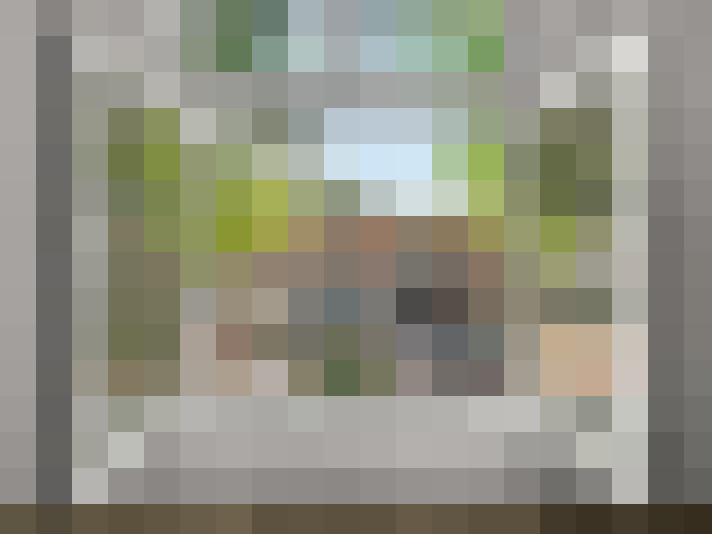  / #11