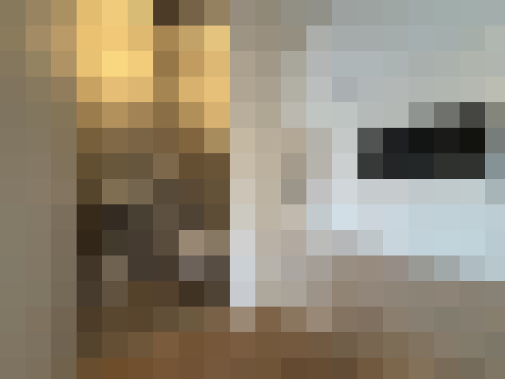  / #14