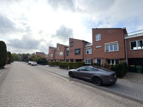 Dom — Hoeksche Waard