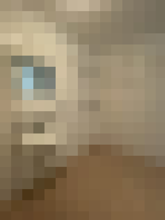  / #12