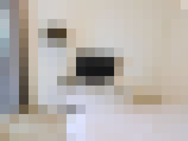 / #20