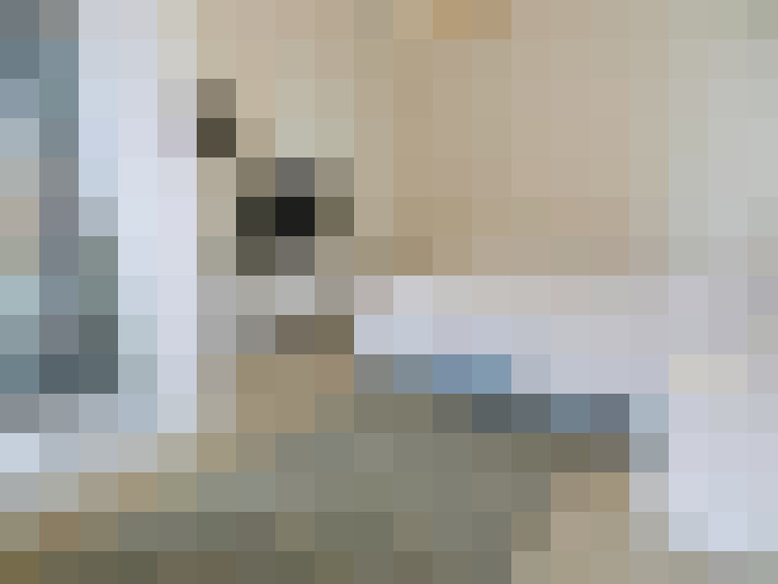  / #19