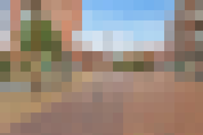  / #15