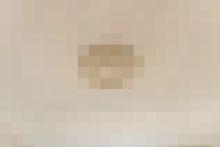  / #11