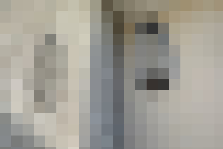  / #18