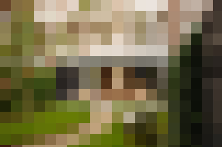  / #22