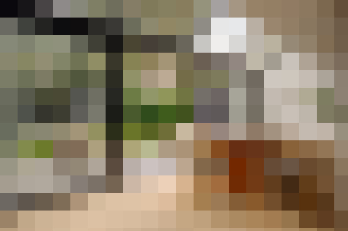  / #20