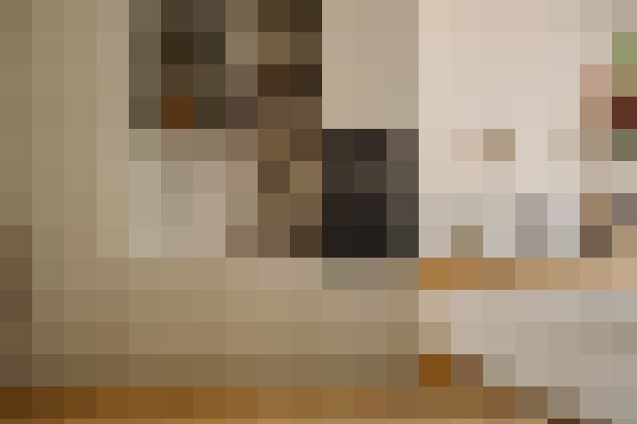  / #14