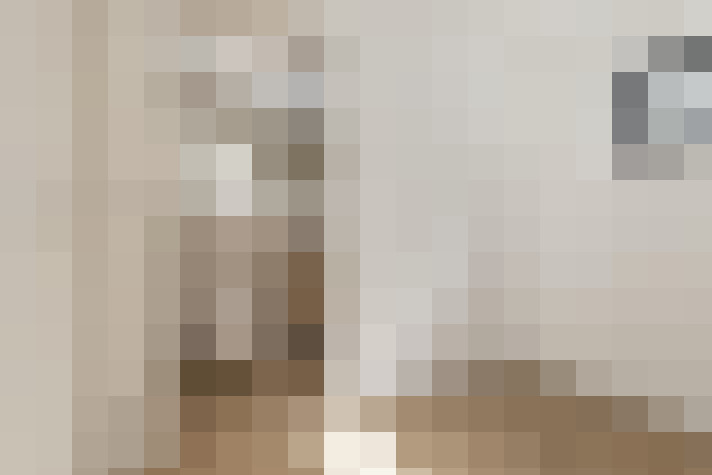  / #21
