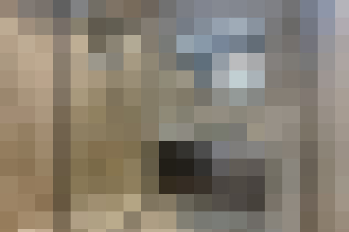  / #15