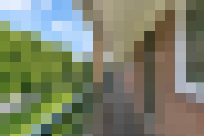  / #18